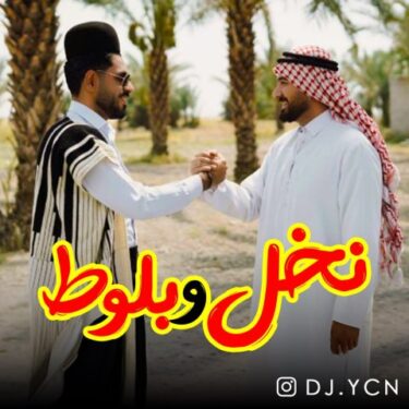دانلود آهنگ جدید دیجی یاسین نخل و بلوط